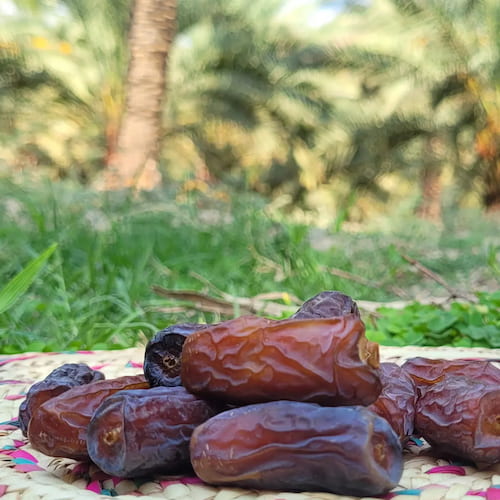 تصویر 3 از فروش خرمای پیارم + قیمت خرید به صرفه